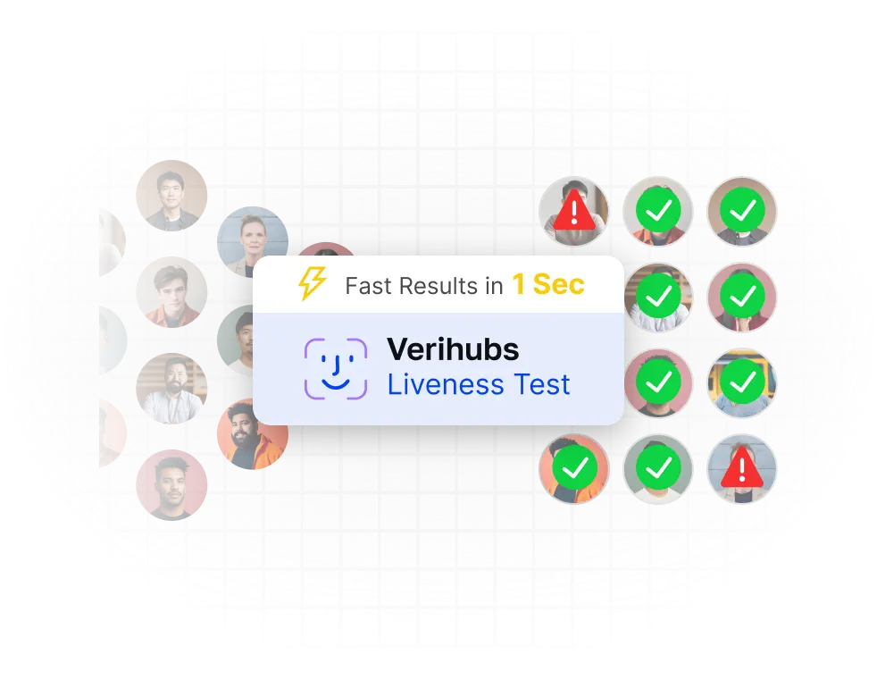 Instant Verification Result